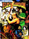 Flash Gordon, The Movie - Bruce Jones, Al Williamson, Rick Veitch