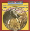 What Grassland Animals Eat/Que Comen Los Animales de Las Praderas? - Joanne Mattern