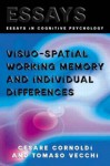 Visuo-Spatial Working Memory and Individual Differences - Cesare Cornoldi, Tomaso Vecchi