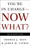 You're in Charge--Now What?: The 8 Point Plan - Thomas J. Neff, James M. Citrin