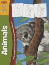 Learn to Draw Wild Animals - Quayside