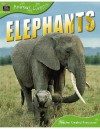 Elephants (Animal Lives) - Sally Morgan