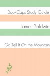 Go Tell It On the Mountain (A BookCaps Study Guide) - BookCaps