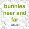 Bunnies Near and Far - Sarah Jones