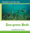 Sea-Grass Beds - Kimberley Jane Pryor