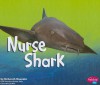 Nurse Shark - Deborah Nuzzolo