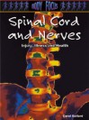 Spinal Cord and Nerves: Injury, Illness And Health (Body Focus) - Steve Parker