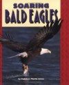 Soaring Bald Eagles - Kathleen Martin-James