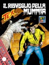 Tex n. 454: Il risveglio della mummia - Mauro Boselli, Guglielmo Letteri, Claudio Villa
