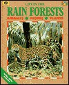 Life in the Rainforests: Animals-People-Plants - Lucy Baker