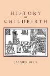 History of Childbirth: Fertility, Pregnancy and Birth in Early Modern Europe - Jacques Gelis