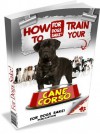 How to Train Your Cane Corso - Gary Brooks