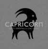 Capricorn - Patty Greenall, Cat Javor