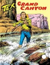 Tex n. 202: Grand Canyon - Gianluigi Bonelli, Guido Nolitta, Giovanni Ticci, Erio Nicolò, Aurelio Galleppini
