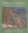 Grand Canyon: Little Things in a Big Place - Ann Zwinger, Michael Collier