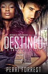 Destined (a BWWM love story) - Perri Forrest