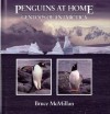 Penguins at Home: Gentoos of Antarctica - Bruce McMillan