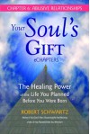 Your Soul's Gift eChapters - Chapter 6: Abusive Relationships: The Healing Power of the Life You Planned Before You Were Born - Robert Schwartz