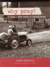 Why Pray?: 40 Days from Words to Relationship - John F DeVries