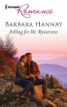 Falling for Mr. Mysterious - Barbara Hannay