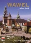 Wawel - Adam Bujak