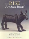 The Rise of Ancient Israel - William G. Dever, Adam Zertal, Norman Gottwald, Israel Finkelstein, P. Kyle McCarter Jr., Bruce Halpern, Hershel Shanks