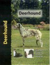 Deerhound - Juliette Cunliffe