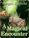 A Magical Encounter - Meagan Hatfield