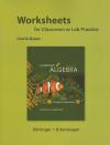 Worksheets for Elementary Algebra: Concepts and Applications - Marvin L. Bittinger, David J. Ellenbogen