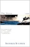 The Storm: A Novel - Frederick Buechner