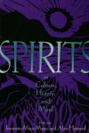 Spirits in Culture, History and Mind - Jeannette Mageo, Alan Howard