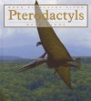 Pterodactyls - Kate Riggs