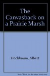 The canvasback on a prairie marsh, - H. Albert Hochbaum