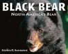 Black Bear: North America's Bear - Stephen R. Swinburne