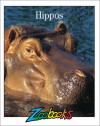 Hippos - Beth Wagner Brust