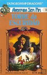 Torre da escuridão (Dungeons & Dragons; Aventura sem fim #11) - Regina Oehler Fultz, Mark Nelson, Pilar Delvaulx