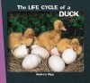 The Life Cycle of a Duck - Andrew Hipp, Dwight Kuhn