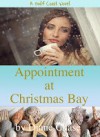 Appointment at Christmas Bay - Diane Chase