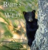 Babies of the Wild - Carl R. Sams II, Jean Stoick