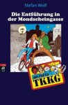 Entführung in der Mondscheingasse (TKKG - Band 31) - Stefan Wolf