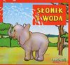 Słonik i woda - Dorota Skwark