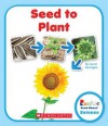 Seed to Plant - Lisa M Herrington