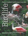 Birdlife of Houston, Galveston, and the Upper Texas Coast - Ted L. Eubanks Jr., Robert A. Behrstock, Ron J. Weeks, Victor Emanuel