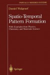 Spatio-Temporal Pattern Formation: With Examples from Physics, Chemistry, and Materials Science (Partially Ordered Systems) - Daniel Walgraef