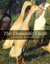 The Domestic Duck - Chris Ashton, Mike Ashton