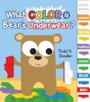 What Color is Bear's Underwear? - Todd H. Doodler, Todd Harris Goldman