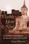 Visible Here and Now: The Buddhist Teachings on the Rewards of Spiritual Practice - Ayya Khema, Peter Heinegg