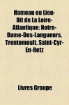 Hameau Ou Lieu-Dit de la Loire-Atlantique: Notre-Dame-des-Langueurs, Trentemoult, Saint-Cyr-en-Retz - Livres Groupe