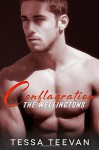 Conflagration (The Wellingtons) (Volume 2) - Tessa Teevan