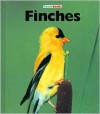 Finches - Sharon Sharth